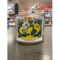 Svece Daffodils & Daisies Narcises un margrietiņas 12OZ